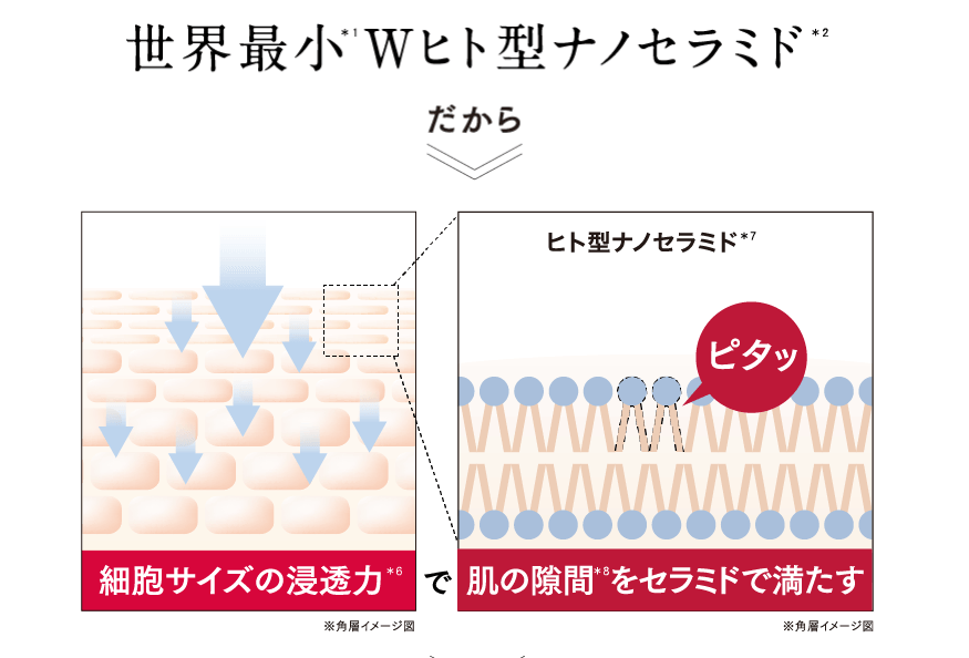 完全版 セラミド美容液おすすめ人気ランキング15選 保湿 成分 価格別のベストコスメを発表 Fastrend ファストレンド