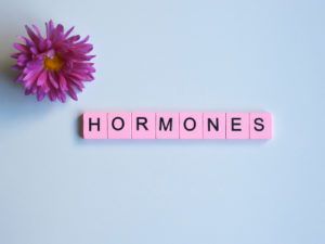 ホルモンバランスの乱れ　HORMONESとピンクのブロックが並ぶ図