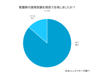 現役合格者が選んだ おすすめの看護師国家試験問題集top13 Fastrend ファストレンド