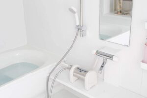 ゼンケン バスシャワー浄水器　（風呂用浄水器）　ＮＥＷ アクアセンチュリー レインボー CCF-151S