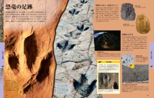ビジュアル 恐竜大図鑑 [年代別] 古生物の全生態ナショナル・ジオグラフィック　恐竜の足跡