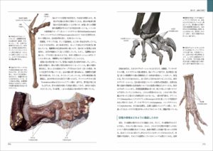 恐竜の教科書: 最新研究で読み解く進化の謎 (日本語) 単行本　見本ページ