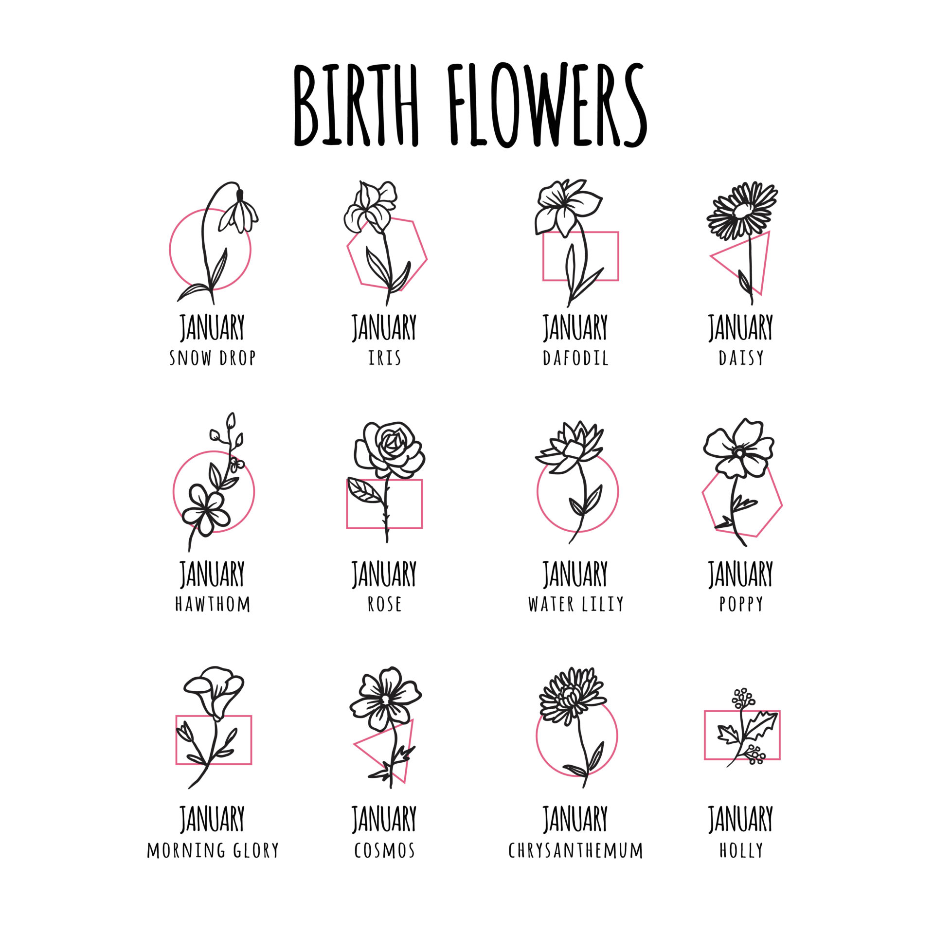 各月の誕生花の一覧表