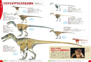 学研の図鑑LIVE 恐竜　ドロマエロサウルスの仲間