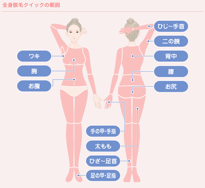 TCB東京中央美容外科 全身脱毛クイック脱毛範囲