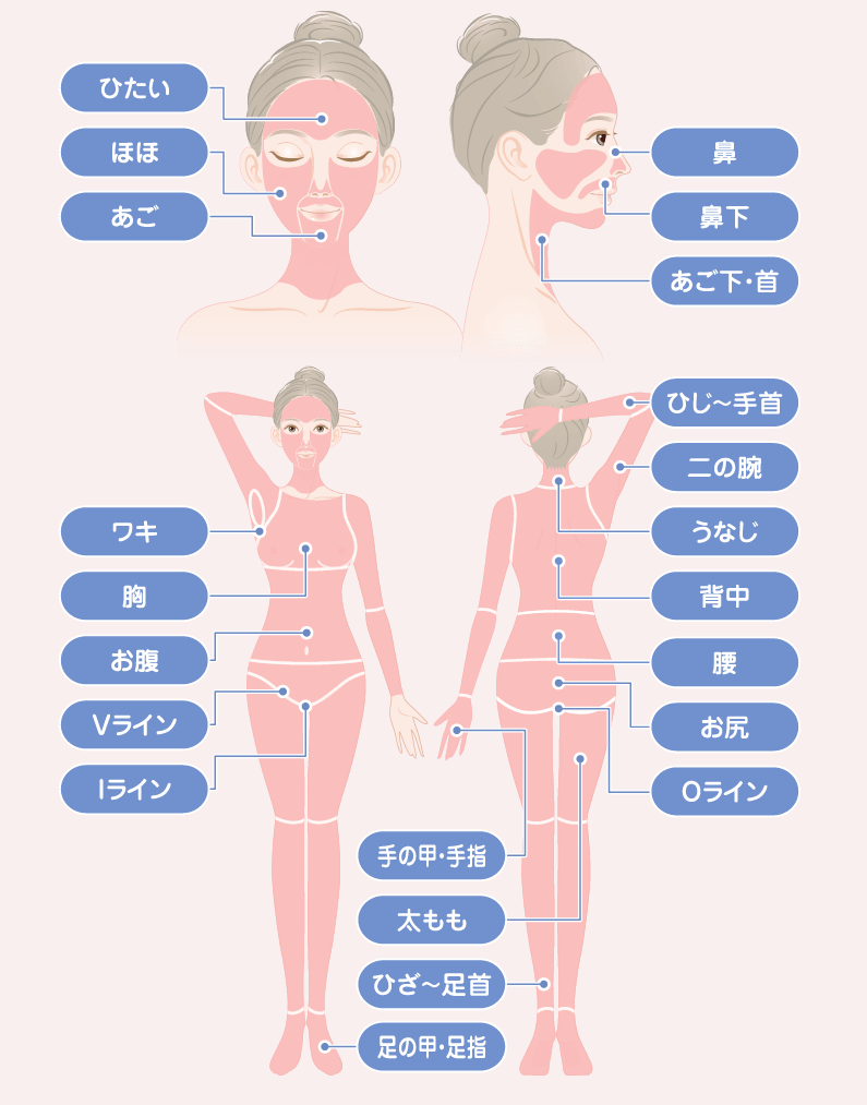 TCB東京中央美容外科 全身脱毛オーダーメイド 脱毛範囲
